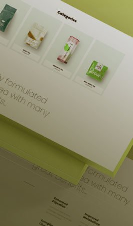 projects 03